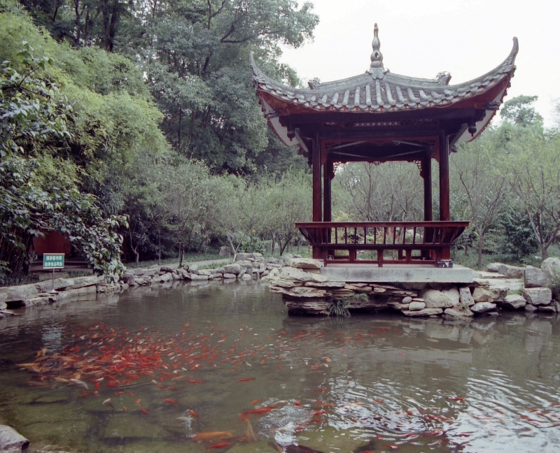 goldfish pool and pagoda, Leshan China.jpg